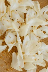 Kaboompics - White Flower Petal Flat Lay with Warm Botanical Texture