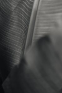 Kaboompics - Banana Green Leaf Backgrounds
