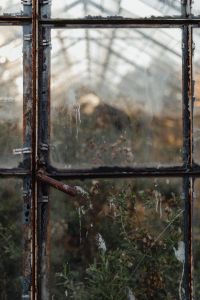 Kaboompics - Weathered Greenhouse Window with Sunlit Roof and Soft Plant Reflections