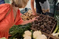 Kaboompics - Woman Choosing Onions at a Farmers Market