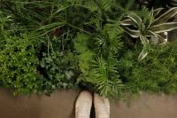 Kaboompics - Potted Greenery at a Plant Market, Top Down Botanical Background