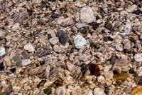 Kaboompics - Sunlit Shallow Water and Pebbles with a Natural Ripple Pattern