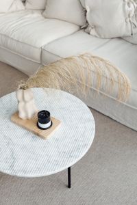 Kaboompics - Top View of Pampas Grass and Sculptural Vase