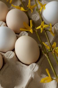 Kaboompics - Easter Egg Carton with Yellow Flowers Close-Up