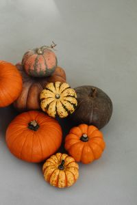 Kaboompics - Close-Up Mixed Pumpkins on a Neutral Surface