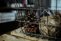 Kaboompics - Diamond lightbulbs in a metal basket