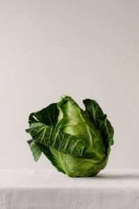 Kaboompics - Savoy Cabbage Close-Up with Leafy Green Copy Space
