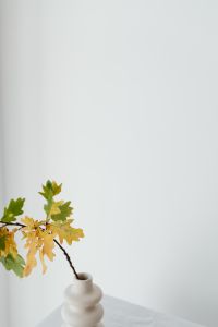 Kaboompics - Oak Branch with Yellow Leaves in a White Vase