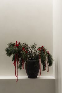 Kaboompics - Evergreen Branches in Black Vase with Red Velvet Ribbon Bows and Copy Space