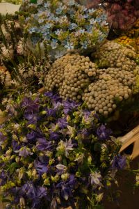Kaboompics - Yellow Craspedia Billy Buttons and Blue Filler Flowers