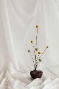 Kaboompics - Single Yellow Craspedia on White Fabric with Negative Space
