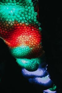 Exhibition Lighting Design: Sculptural Lamps, Edison Bulbs and Colorful Light Installations