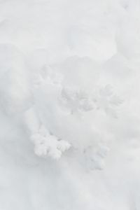Kaboompics - Decorative snowflakes on fresh snow