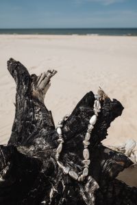 Kaboompics - Silver Necklace on Black Driftwood with Ocean Background