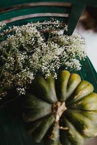 Top view of green pumpkin