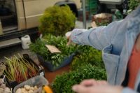 Kaboompics - Hand Selecting Fresh Herbs at a Farmers Market