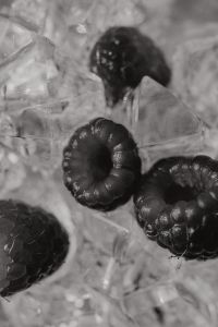 Kaboompics - Black And White Raspberries In Ice