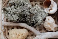 Kaboompics - Woven Rattan Background with Driftwood, Dried Lichen, Sea Sponge and Seashell