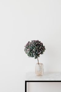 Kaboompics - Centered Hydrangea Arrangement in Glass Vase on Marble Console
