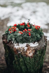 Kaboompics - Soft Focus Holly Wreath in a Winter Landscape