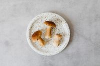 Kaboompics - Three Boletus Mushrooms on Speckled Ceramic Plate
