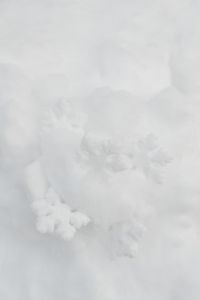 Decorative snowflakes on fresh snow