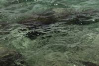 Kaboompics - Wide Water Surface Background over a Rocky Seafloor