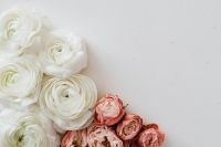 Kaboompics - Horizontal White Ranunculus and Blush Flowers with Open Beige Copy Space