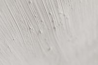 Kaboompics - Diagonal White Paint Strokes Fading into Soft Focus
