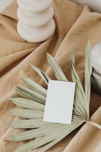 Kaboompics - Dried Palm Fronds and Sculptural White Vase with Blank Business Card