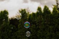 Kaboompics - Scattered Soap Bubbles against Blurred Trees and Pale Sky