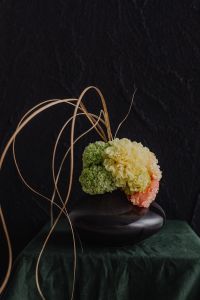 Kaboompics - Green, Yellow and Peach Flowers with Dried Grass