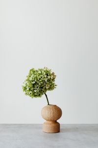 Kaboompics - Green Hydrangea Flower Arrangement