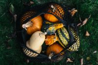 Kaboompics - Basket of Autumn Gourds in Grass
