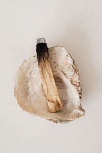 Kaboompics - Palo Santo Stick Resting on a Natural Shell, Energy Cleansing Still Life