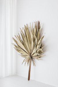 Kaboompics - Vertical Dried Palm Leaf Wall Decor with Airy Copy Space for Home Styling