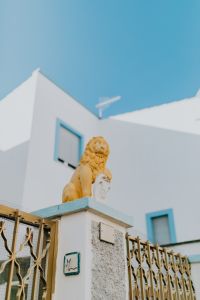 Kaboompics - Close-Up of a Carved Lion Finial on a Blue-Trimmed Wall