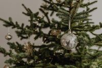 Kaboompics - Close-Up Silver Christmas Ornament on Tree Branches