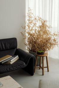 Kaboompics - Japandi Living Room with Black Leather Sofa, Dried Branches and Apples