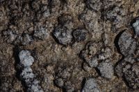 Kaboompics - Charcoal Stone Background with Embedded Rounded Inclusions