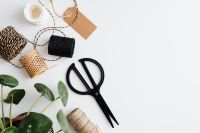 Kaboompics - Jute Twine, Scissors And Potted Plant On White Copy Space