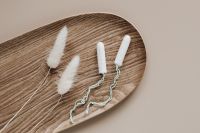Kaboompics - Close-Up of Tampons and Dried Stems on a Wood Tray