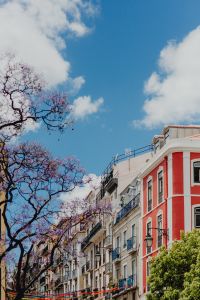 Kaboompics - Lisbon Street Facades and Jacaranda Canopy Framed by Blue Sky