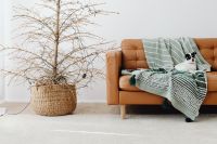 Kaboompics - Christmas Tree and Small Dog on Tan Leather Sofa