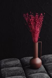 Kaboompics - Red Dried Flax Stems In Brown Handled Vase On Upholstered Bench