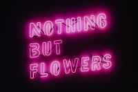 Kaboompics - Nothing But Flowers Glowing Neon