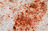 Kaboompics - Rust-Orange Exfoliating Scrub Granules on Pale Cream, Horizontal Skincare Background