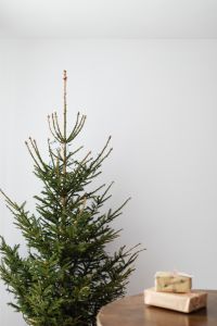 Kaboompics - Minimal Christmas Tree Background with Copy Space