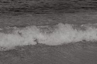 Kaboompics - Monochrome Wave Breaking On Sandy Shore