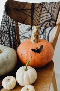 Kaboompics - Orange Pumpkin with Bat Sticker and White Pumpkin